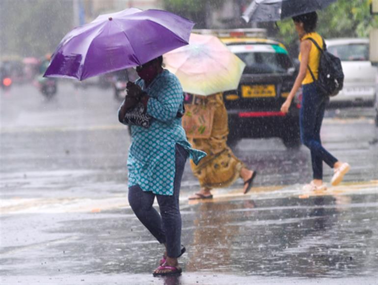 Heavy rain forecast for Maharashtra today, red alert issued in Raigad