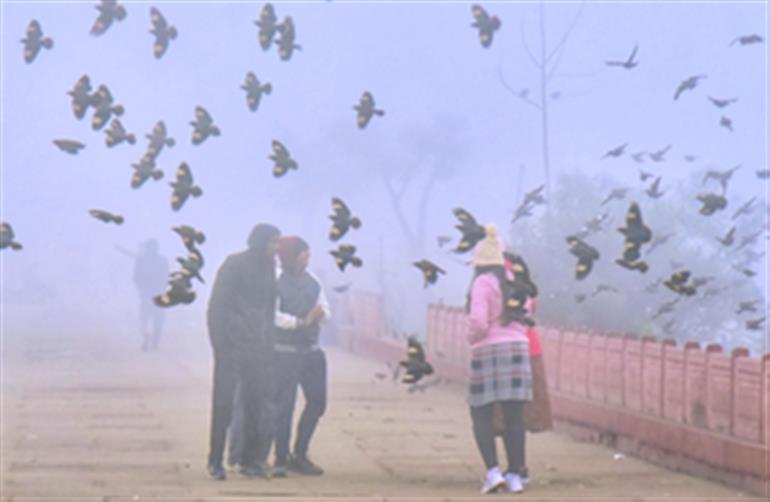 Rajasthan records season’s coldest spell; Pilani at 4.9 and Nagaur at 5.6 degrees Celsius