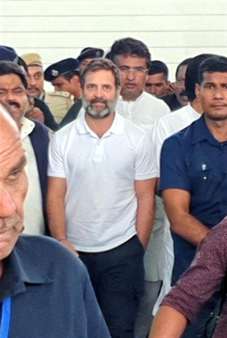 'This is the 7th case in which Rahul Gandhi is out on bail'