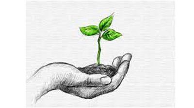 Rana Heritage & Riyasat-E-Rana Celebrate Environment Day with a Green Initiative
