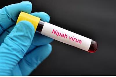 No Nipah case reported for third day in Kozhikode