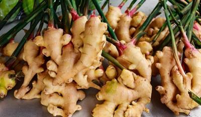 Ginger supplements can be beneficial in treating autoimmune diseases: Study