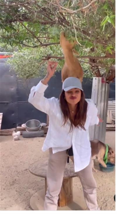 चचेरी बहन परिणीति की शादी से पहले बेटी मालती के साथ 'फार्म लाइफ' का आनंद लेती नजर आईं प्रियंका