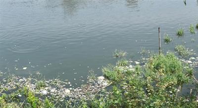 TN govt dept initiates cleaning drive of temple tanks