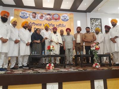 ਬਠਿੰਡਾ ਵਿੱਚ ਆਪ ਦੀ ਵਲੰਟੀਅਰ ਮੀਟਿੰਗ ਮੁਹਿੰਮ ਨੇ ਧਾਰਿਆ ਰੈਲੀ ਦਾ ਰੂਪ
