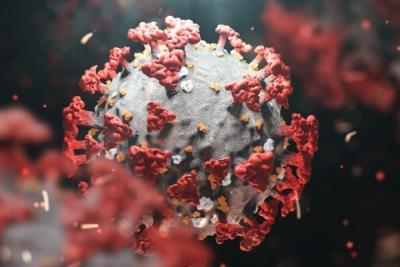 Contagious BA.5 Covid strain replicates faster early in infection: Study