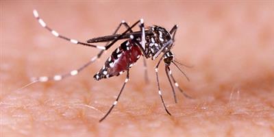 TN's Madurai district reports 79 dengue cases in Sep