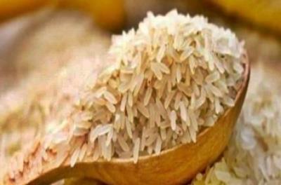 Govt may lower basmati rice export price by $300 per tonne