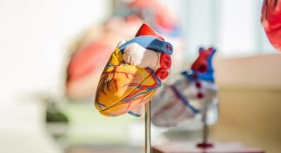 Study finds genetic links between schizophrenia & heart disease risk factors