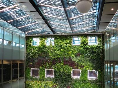 Bengaluru tops in India’s green office space, NCR 2nd