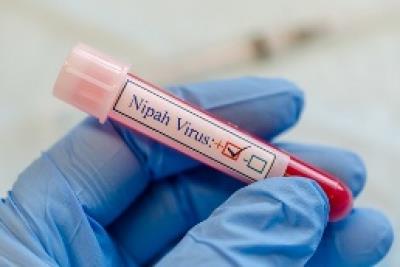 Finally, Nipah scare over in Kerala's Kozhikode