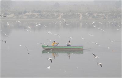 Delhi’s air quality continues to be ‘very poor’