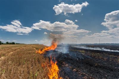 UP farmer dies of suffocation while burning stubble