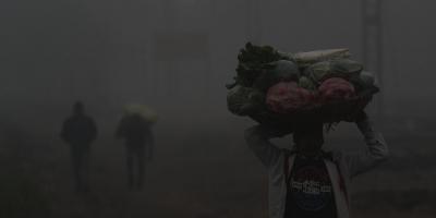 Due to Western Disturbance mercury has fallen in Punjab, nights will be cold; Dense fog forecast