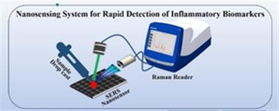 New nanosensor to check body’s inflammatory level, diagnose disease in 30 minutes