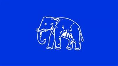 BSP names nine more candidates in UP