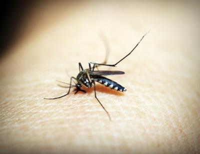 जलवायु परिवर्तन मलेरिया के संचरण को कैसे प्रभावित करता