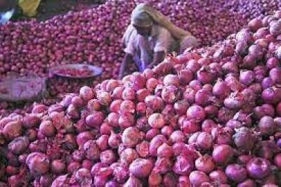 Govt lifts ban on onion exports with price rider