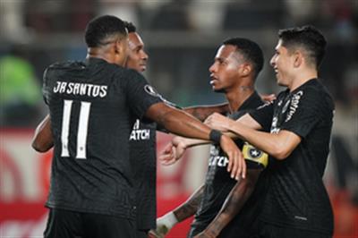 Botafogo reach Copa Libertadores last 16