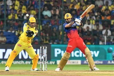 IPL 2024: Virat Kohli could go well past his IPL 2016 performance, says Matthew Hayden