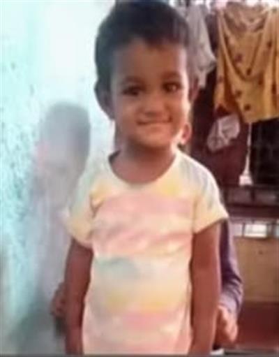 Four-year-old girl attacked by stray dog, succumbs in Karnataka