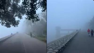 चंडीगढ़ में घना कोहरा, 4 फ्लाइटें लेट