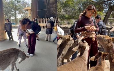 ताहिरा कश्यप ने एक प्यारा सा पल शेयर किया जिसमें एक हिरण ने बिस्किट के लिए उनके सामने झुककर आभार जताया