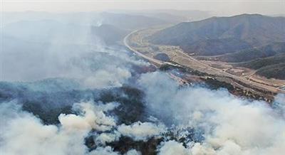 South Korea: Wildfires becoming uncontrollable in Uiseong