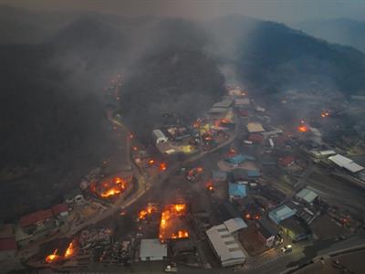 Woman in 60s found burned to death in Cheongsong amid South Korea's wildfires