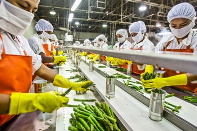 Food processing PLI: 171 firms approved, over 2.89 lakh jobs generated