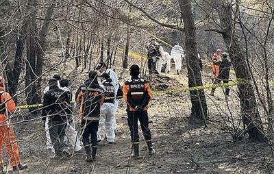 On-site probe begins into point of ignition for South Korea's Uiseong wildfires