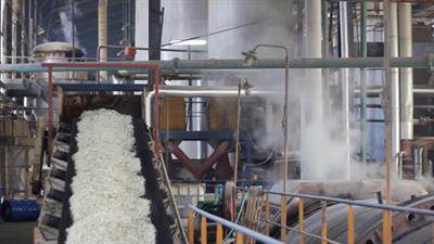 India’s sugar production rises to 247.61 lakh tons in current season