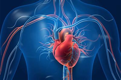 New AI algorithm to predict risk of cardiovascular events, heart-related death