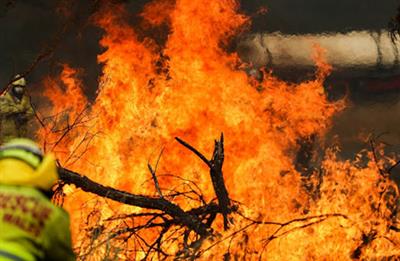 Australia: Out-of-control bushfire triggers evacuation order in Perth