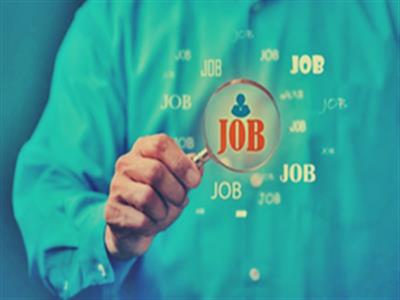 White-collar gig jobs surge 17 pc in FY25 as India embraces flexible work