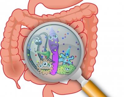 Common gut bacteria can make diabetes, cancer drugs less effective: Study