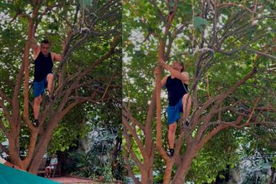 Salman climbing trees at 59 is all the fitness inspiration you need