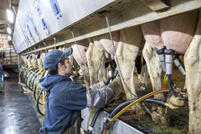 UK bans personal imports of meat, dairy products from all EU countries