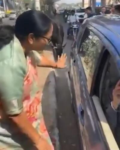 Delhi CM comes to cows' rescue, pleads against feeding on busy roads