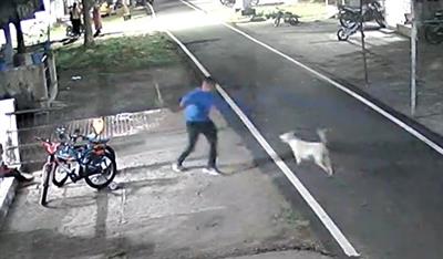 FIR filed against Army man for beating dog to death in Tamil Nadu