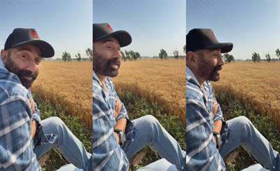 Sunny Deol finds ‘sukoon’ in the fields after his flight gets delayed