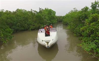 24 Bangladeshi infiltrators arrested from village near coastal border in Bengal's Sundarbans