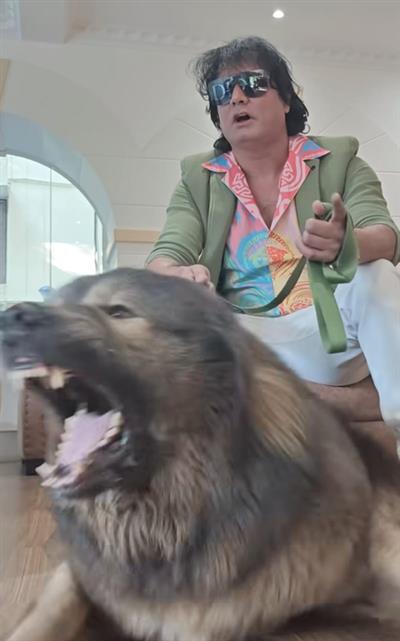 ED raids Bengaluru dog breeder who claimed to own Rs 50-crore canine