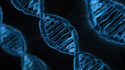 DNA sequencing may become prime target for hackers, warns study
