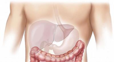 World Liver Day: Fix food habits to cut liver disease risk by 50 pc