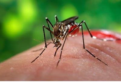 Rwanda to introduce household testing strategy against malaria spread