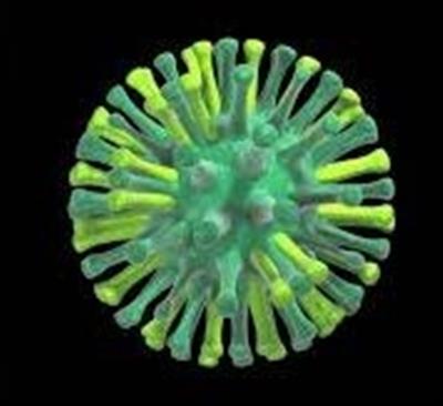 न्यूजीलैंड ने H5N1 के संभावित आगमन के लिए तैयारियों को मजबूत किया