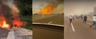 Wildfire rages across Israel, sparks national emergency as thousands flee