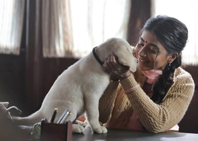 Pooja Hegde: Becoming Rukku was the most fun thing I’ve ever had to do