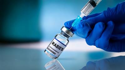 KGMOA calls for pre-exposure rabies vaccination programme in Kerala